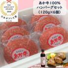 あか牛100%ハンバーグセット(あか牛ハンバーグ120g×6個 あか牛のたれ200ml)(高森町)