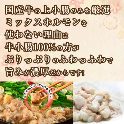 もつ鍋セット　あか牛・黒毛和牛ホルモン　合計400gセット(高森町)