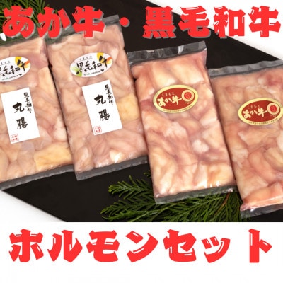 熊本県産　黒毛和牛(丸腸)200g×2個・あか牛(小腸)200g×2個　ホルモンセット(高森町)
