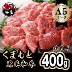 A5ランクのくまもと黒毛和牛 焼肉用 約400g(高森町)