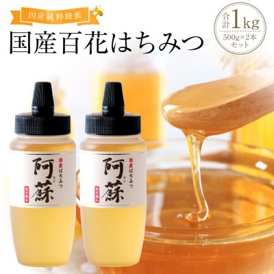 国産はちみつ1kg 阿蘇 純粋蜂蜜(とんがりポリ容器500g×2本セット)(高森町)