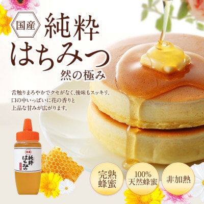 国産 純粋はちみつ 然の極み 合計1kg 500g×2本 セット とんがり容器 ポリ容器(高森町)