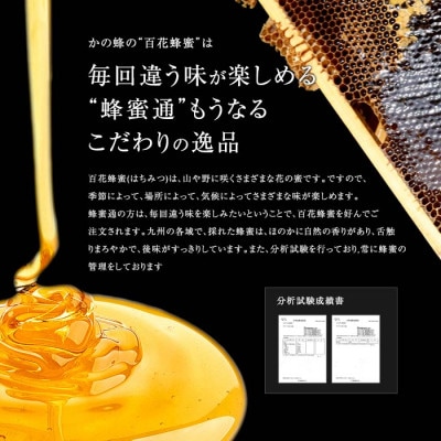国産 純粋はちみつ 然の極み 合計1kg 500g×2本 セット とんがり容器 ポリ容器(高森町)