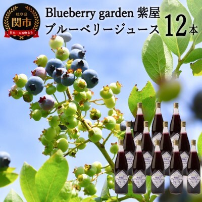 栽培期間中農薬不使用の自然農園 紫屋【ブルーベリージュース】 12本 (720ml)