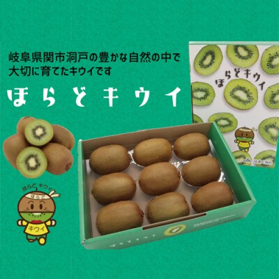 ほらどキウイフルーツとほらタレ・ほらドレ【1月～3月に順次発送】