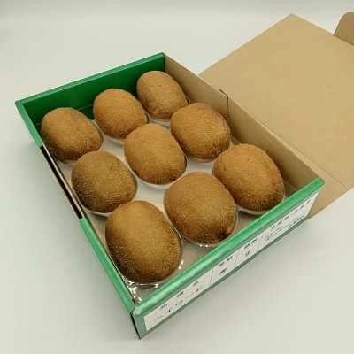 関市名産　洞戸キウイフルーツ9玉(贈答箱入)【12～1月に順次発送】