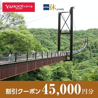 【大阪府交野市】一休.com・Yahoo!トラベル割引クーポン(45,000円分)