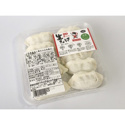 華ちゃん生ぎょうざ　冷凍餃子　60個セット