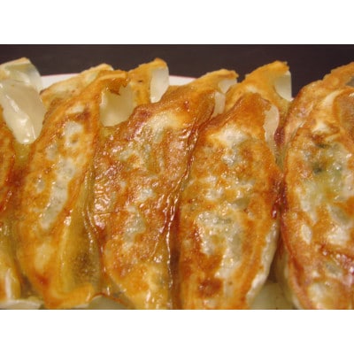 華ちゃん生ぎょうざ　冷凍餃子　60個セット
