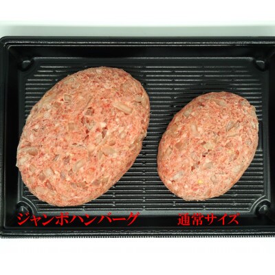 【牛壱】国産牛100%ジャンボハンバーグ 5個　300g×5個