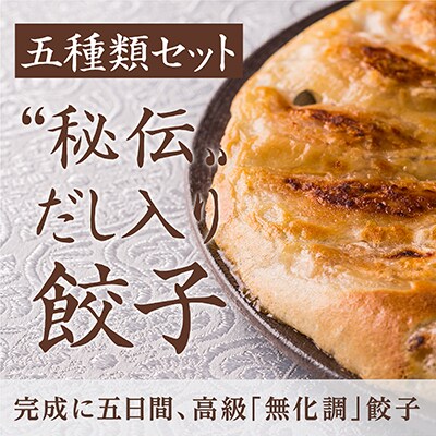 「高級”無化調”餃子」熟練職人が五日間かけて丹念に仕込む、秘伝だし入り餃子(五種類バラエティセット)