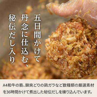 「高級”無化調”餃子」熟練職人が五日間かけて丹念に仕込む、秘伝だし入り餃子(五種類バラエティセット)