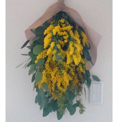 毎年人気!春を運んでくるユーカリとミモザのスワッグ