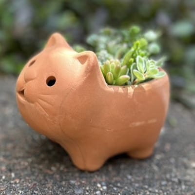 埴輪寄せ植え