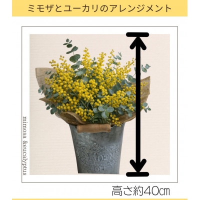 ミモザのアレンジメント 1点