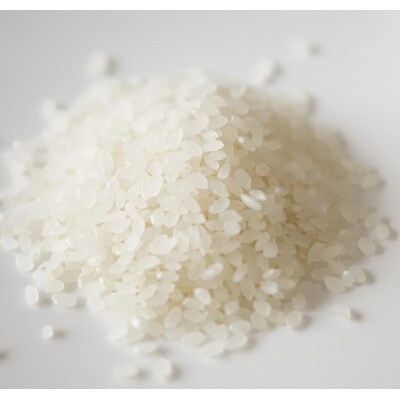 桝田米穀のお米　白王(HAKUO)2kg〔精米〕