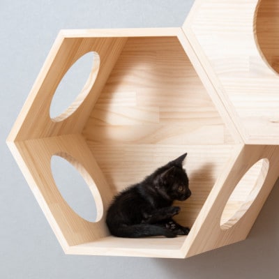 猫ハウス&キャットタワー 六角BOXセット（連結用） ｜ 猫のため