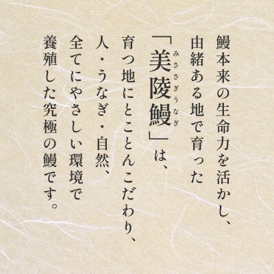 【毎月定期便】【鰻セレブ】鰻の蒲焼×3尾　(6カ月定期便)全6回