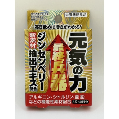 最終兵器　元気の力