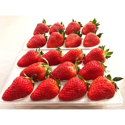 【2024年2月発送】【限定50箱】奈良県ブランドいちご古都華(ことか)約540g