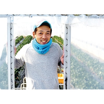 【2024年3月発送】【限定50箱】奈良県ブランドいちご古都華(ことか)約540g