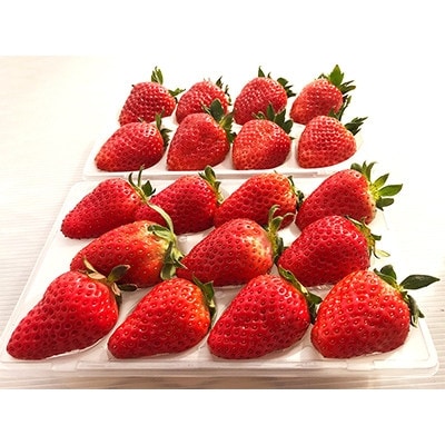 【2024年4月発送】【限定50箱】奈良県ブランドいちご古都華(ことか)約540g