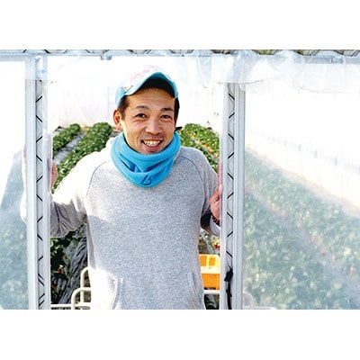 【2025年1月発送】奈良県ブランドいちご古都華(ことか)　約270g×2パック　奈良のいちごやさん