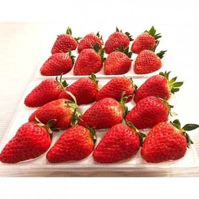 【2025年1月発送】奈良県ブランドいちご古都華(ことか)　約270g×2パック　奈良のいちごやさん