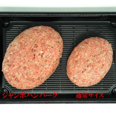 牛壱の国産牛100%ジャンボハンバーグ 3個　300g×3個