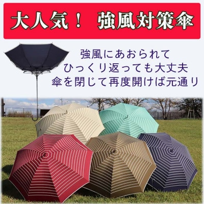 強風対策 耐風傘 雨傘 レディース 長傘 ボーダー ワンタッチジャンプ 162003 ベージュ