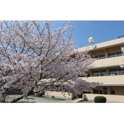 【返礼品なし】田原本町立東小学校 学校応援ふるさと寄附金 5,000円