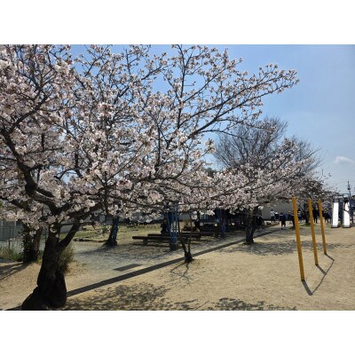 【返礼品なし】田原本町立平野小学校 学校応援ふるさと寄附金 5,000円