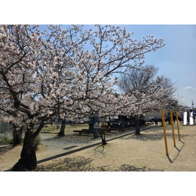 【返礼品なし】田原本町立平野小学校 学校応援ふるさと寄附金 1,000円