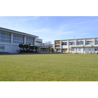 【返礼品なし】田原本町立南小学校 学校応援ふるさと寄附金 10,000円