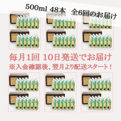 【Gaivota(ガイヴォータ)定期便:2箱(500ml×48本)×6回】