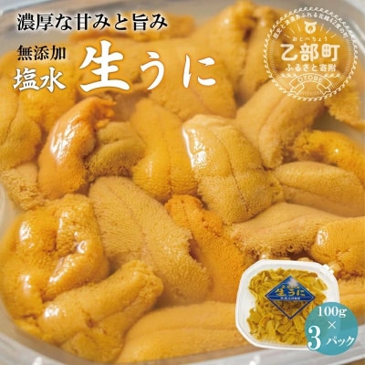 <小川の塩水ウニ 100g×3パック>鮮度抜群!ミョウバン不使用のうに本来の味をお楽しみください!