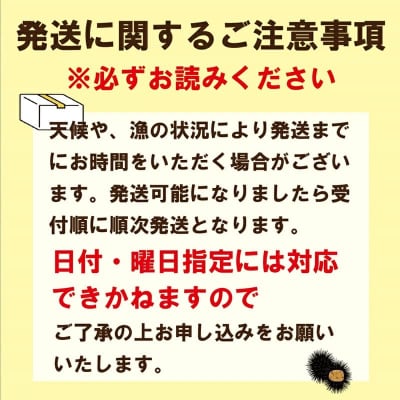 <小川の塩水ウニ 100g×3パック>鮮度抜群!ミョウバン不使用のうに本来の味をお楽しみください!