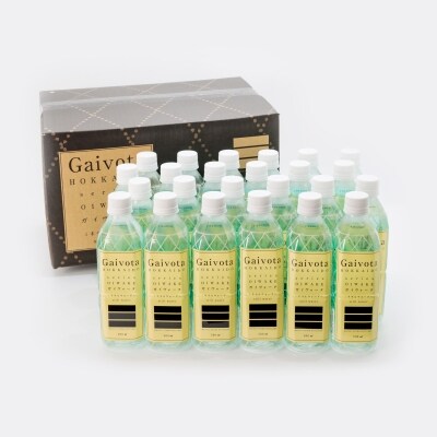 北のハイグレード食品認定の美味しい水「GaiVota」4箱(2L×6本)+2箱(500ml×24本)