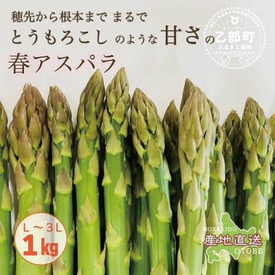 <北海道産 春採れグリーンアスパラ 1kg>