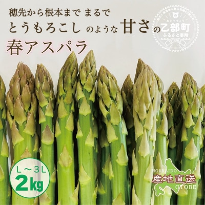 <北海道産 春採れグリーンアスパラ 2kg>