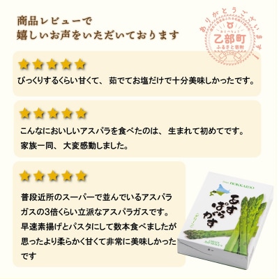 <北海道産 春採れグリーンアスパラ 2kg>