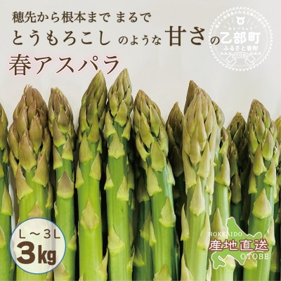 <北海道産 春採れグリーンアスパラ 3kg>
