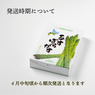 <北海道産 春採れグリーンアスパラ 3kg>