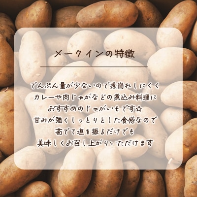 【10月下旬頃発送予定】<乙部町産メークイン　小玉10kg>北海道　道産　乙部町産