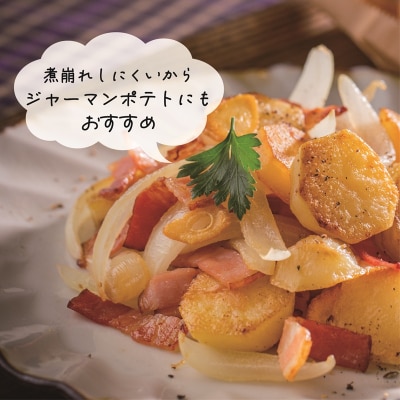 【10月下旬頃発送予定】<乙部町産メークイン　小玉10kg>北海道　道産　乙部町産