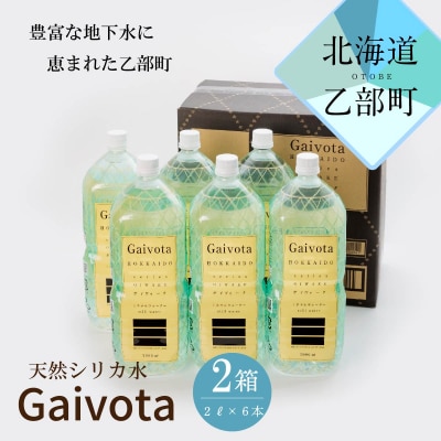北のハイグレード食品　北海道乙部町の天然シリカ水【Gaivota　2箱(2L×6本/箱】