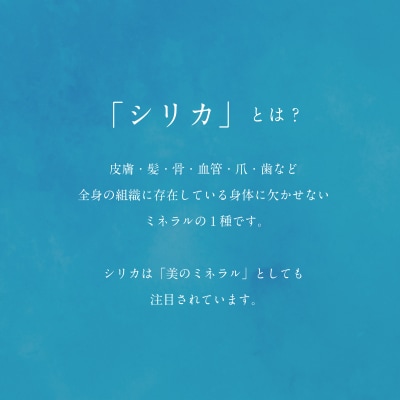 北のハイグレード食品　北海道乙部町の天然シリカ水【Gaivota　2箱(2L×6本/箱】