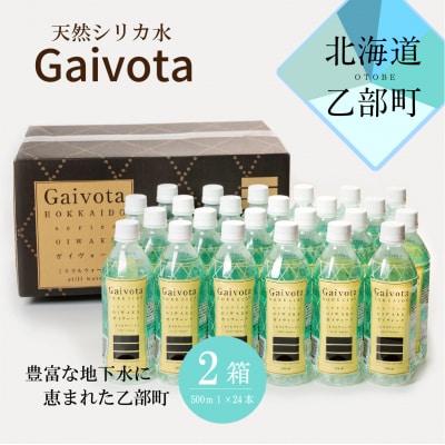 北のハイグレード食品　北海道乙部町の天然シリカ水【Gaivota　2箱(500ml×24本/箱)】