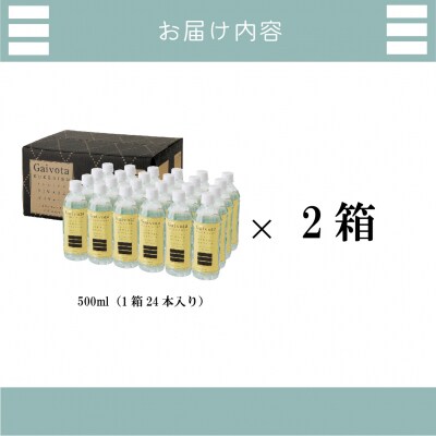 北のハイグレード食品　北海道乙部町の天然シリカ水【Gaivota　2箱(500ml×24本/箱)】