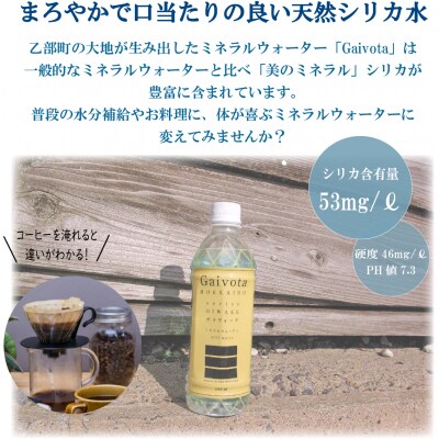 北のハイグレード食品　北海道乙部町の天然シリカ水【Gaivota　2箱(500ml×24本/箱)】